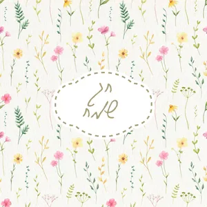 שמשונית דגם ''חג שמח''