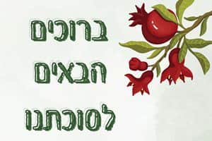 שמשונית דגם טליה