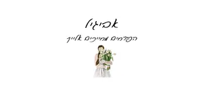 דגם שדה