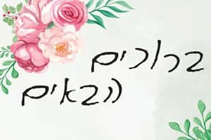 שמשונית דגם טליה