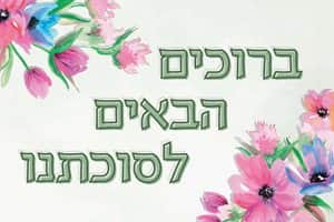 שמשונית דגם טליה